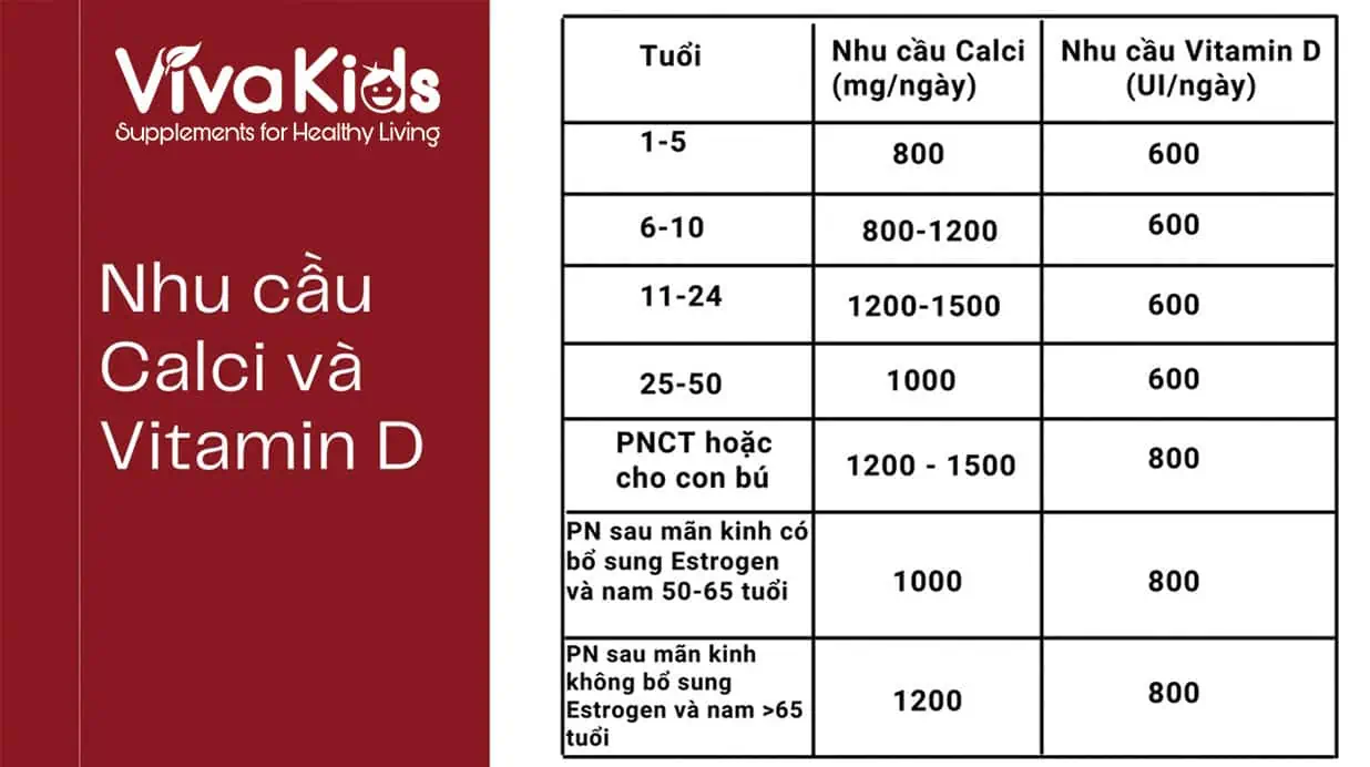 Canxi nên uống trước ăn hay sau ăn?